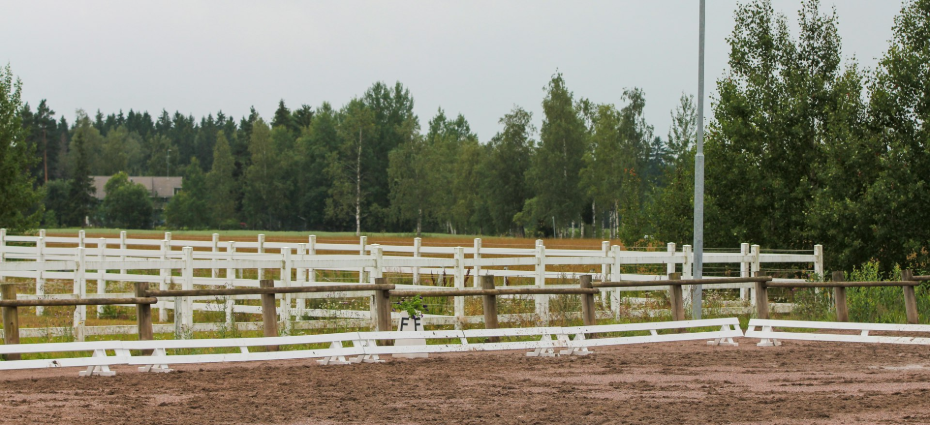 a horse is standing in a fenced in area